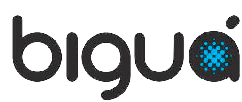 bigua 1